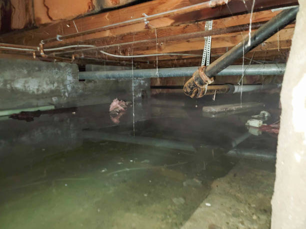 Best Water damage restoration experts  in Brookshire, TX