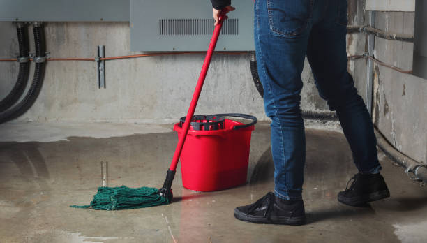 Best Ceiling water damage repair  in Brookshire, TX