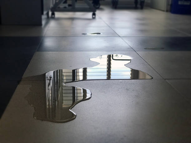 Best Water damage restoration near me  in Brookshire, TX