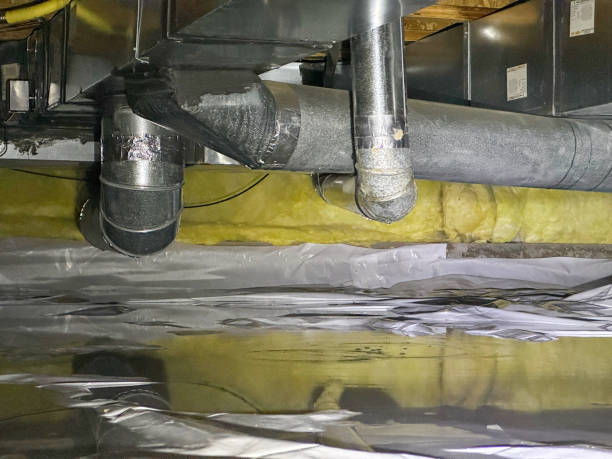Best Local water damage restoration  in Brookshire, TX