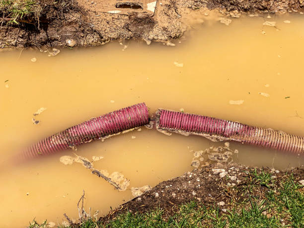 Best 24/7 water damage repair  in Brookshire, TX